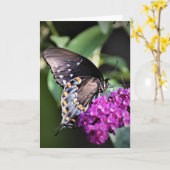 Schmetterling, Karte (Gelbe Blume)