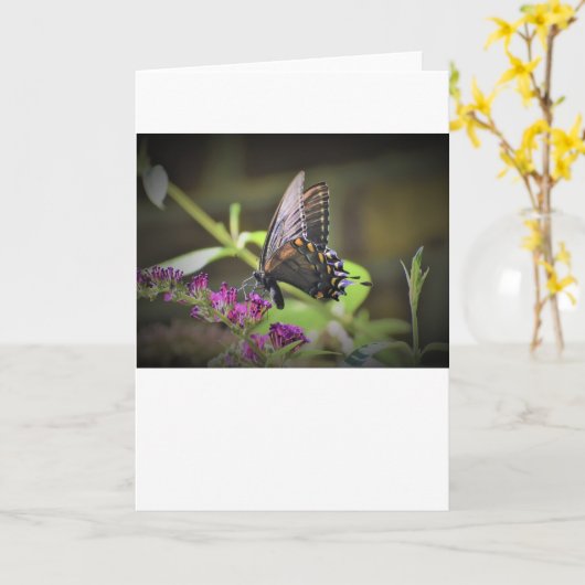 Schmetterling, Karte (Gelbe Blume)