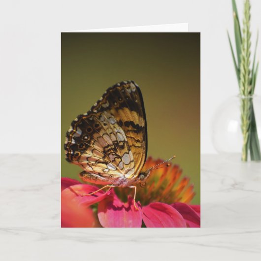 Schmetterling, Karte (Vorderseite)