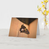 Schmetterling, Karte (Gelbe Blume)