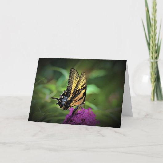 Schmetterling, Karte (Vorderseite)