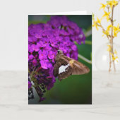 Schmetterling, Karte (Gelbe Blume)