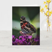 Schmetterling, Karte (Gelbe Blume)