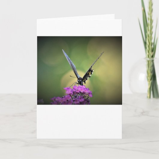Schmetterling, Karte (Vorderseite)