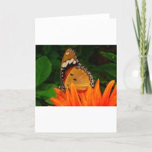 Schmetterling Karte