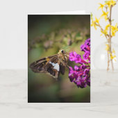 Schmetterling, Karte (Gelbe Blume)