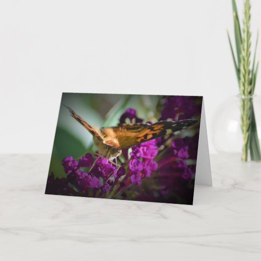 Schmetterling, Karte (Vorderseite)