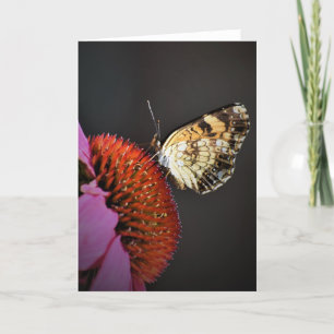 Schmetterling, Karte