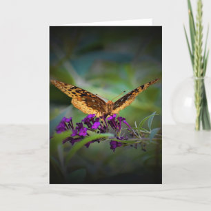 Schmetterling, Karte