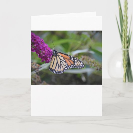 Schmetterling, Karte (Vorderseite)