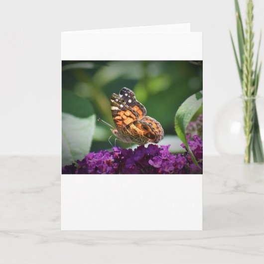 Schmetterling, Karte (Vorderseite)