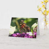 Schmetterling, Karte (Gelbe Blume)