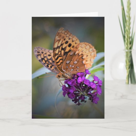 Schmetterling, Karte (Vorderseite)