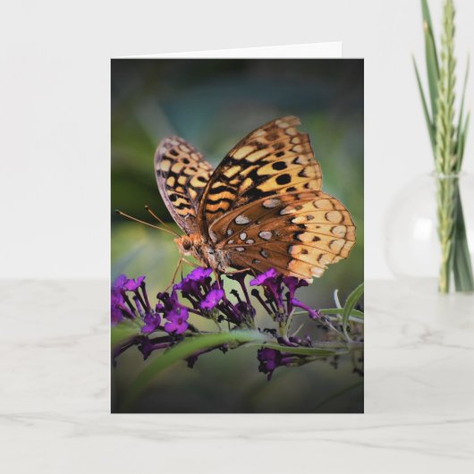Schmetterling, Karte (Vorderseite)