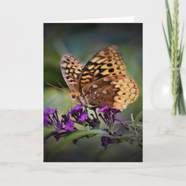 Schmetterling, Karte