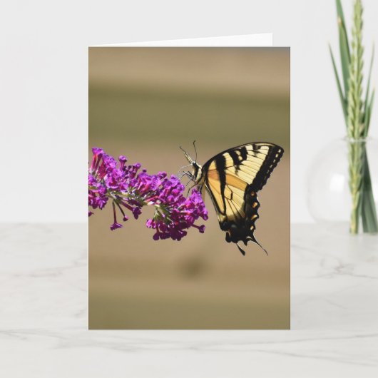 Schmetterling, Karte (Vorderseite)