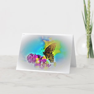 Schmetterling, Karte