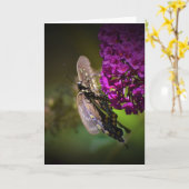 Schmetterling, Karte (Gelbe Blume)