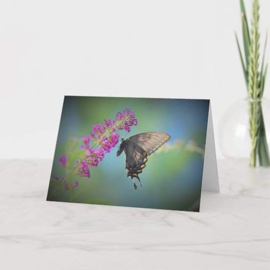 Schmetterling, Karte (Vorderseite)