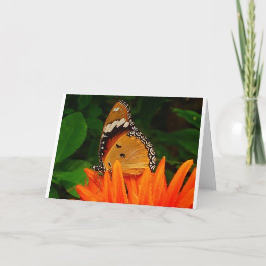Schmetterling Karte (Vorderseite)