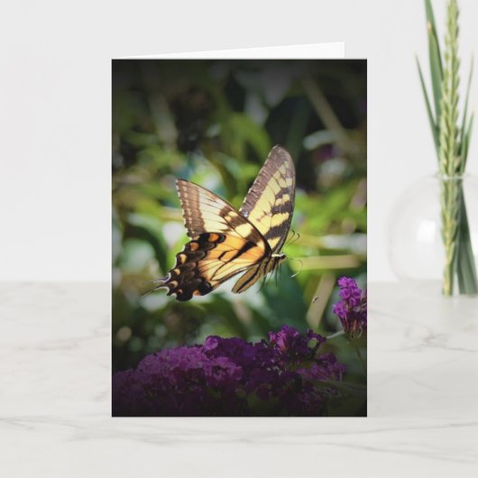 Schmetterling, Karte (Vorderseite)