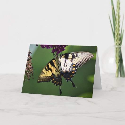 Schmetterling, Karte (Vorderseite)
