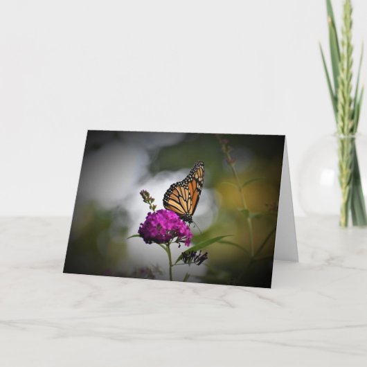 Schmetterling, Karte (Vorderseite)