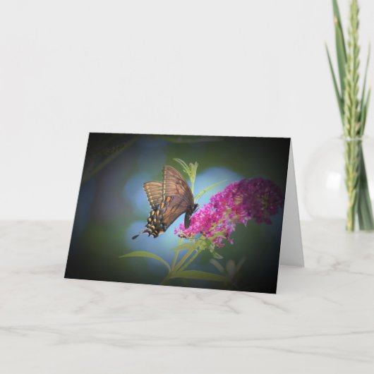Schmetterling, Karte (Vorderseite)