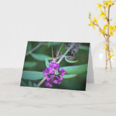 Schmetterling, Karte (Gelbe Blume)