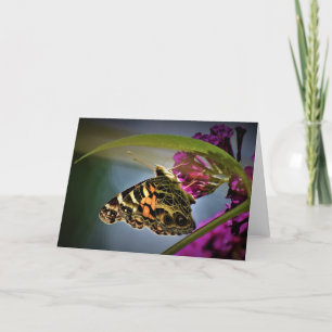Schmetterling, Karte
