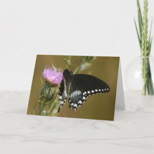 Schmetterling Karte