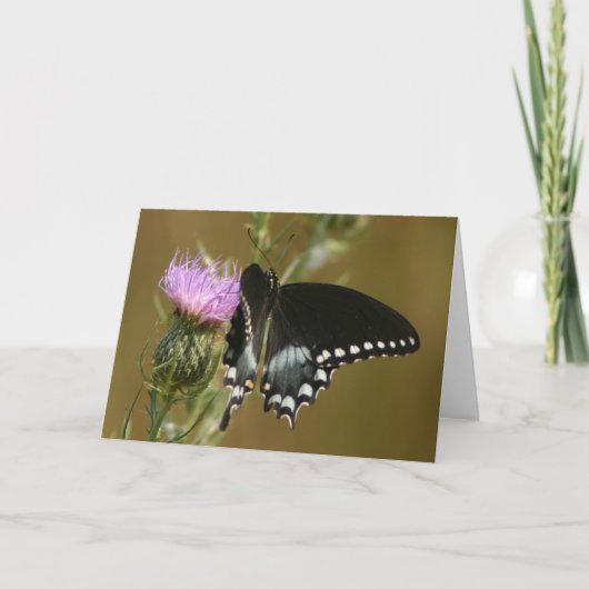Schmetterling Karte (Vorderseite)