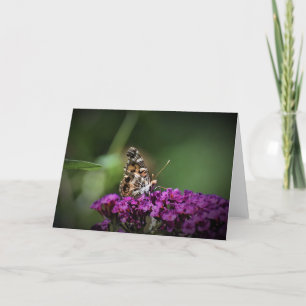 Schmetterling, Karte