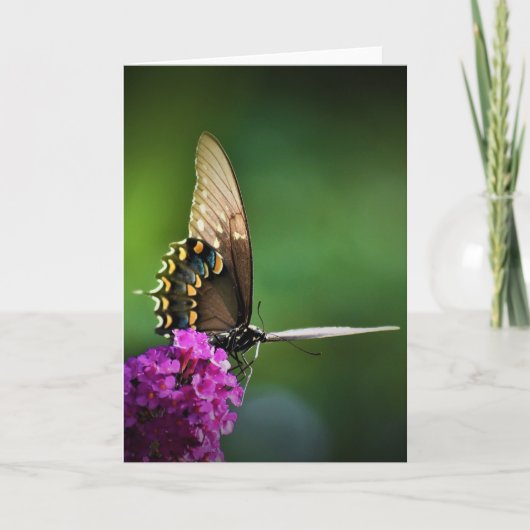 Schmetterling, Karte (Vorderseite)