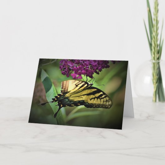 Schmetterling, Karte (Vorderseite)