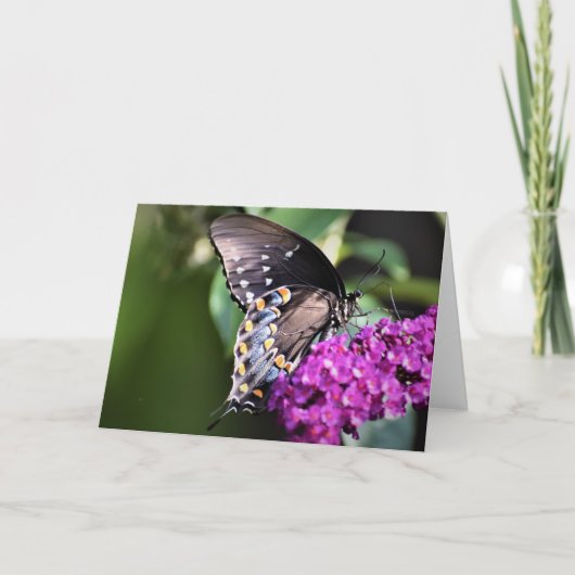 Schmetterling, Karte (Vorderseite)