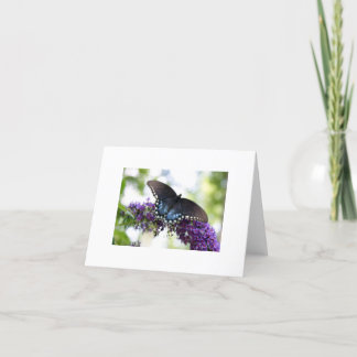 Schmetterling Karte