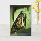 Schmetterling, Karte (Gelbe Blume)