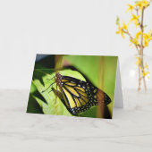 Schmetterling, Karte (Gelbe Blume)