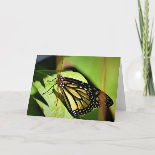Schmetterling, Karte (Vorderseite)