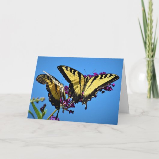 Schmetterling, Karte (Vorderseite)
