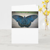 Schmetterling, Karte (Gelbe Blume)