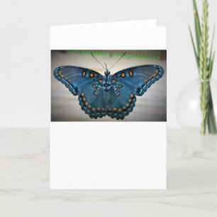 Schmetterling, Karte