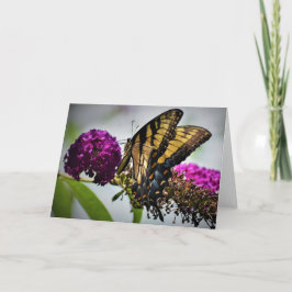 Schmetterling, Karte