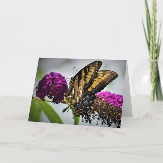 Schmetterling, Karte (Vorderseite)