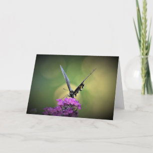 Schmetterling, Karte