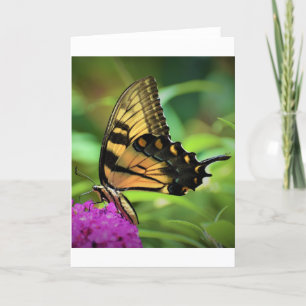 Schmetterling, Karte