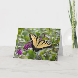 Schmetterling, Karte