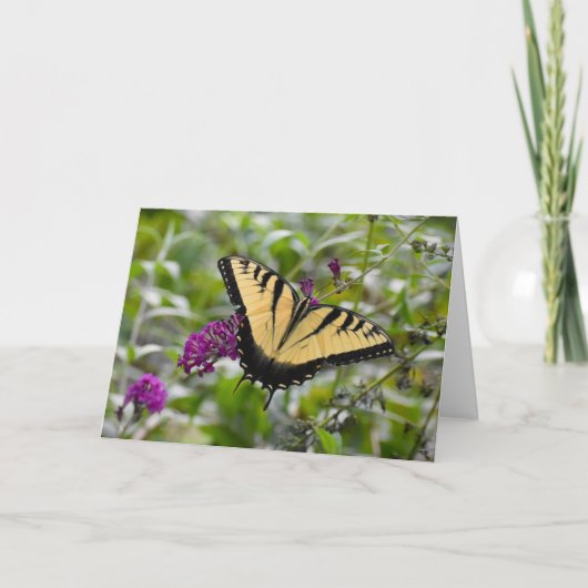 Schmetterling, Karte (Vorderseite)