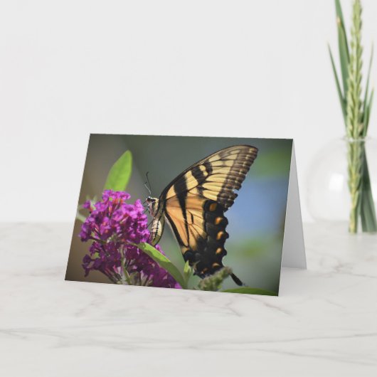 Schmetterling, Karte (Vorderseite)